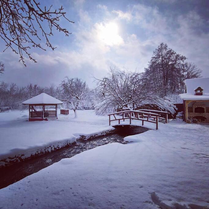 Horace Guesthouse Pool & Hot Tub & Bikes & River Dejani ภายนอก รูปภาพ
