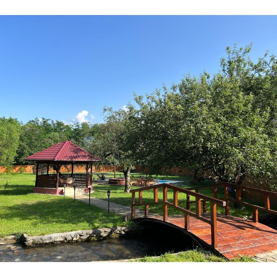 Horace Guesthouse Pool & Hot Tub & Bikes & River Dejani ภายนอก รูปภาพ