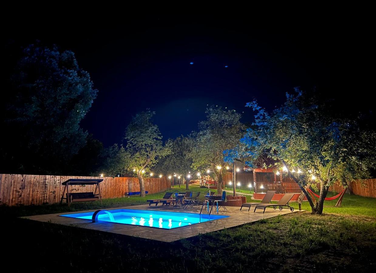 Horace Guesthouse Pool & Hot Tub & Bikes & River Dejani ภายนอก รูปภาพ